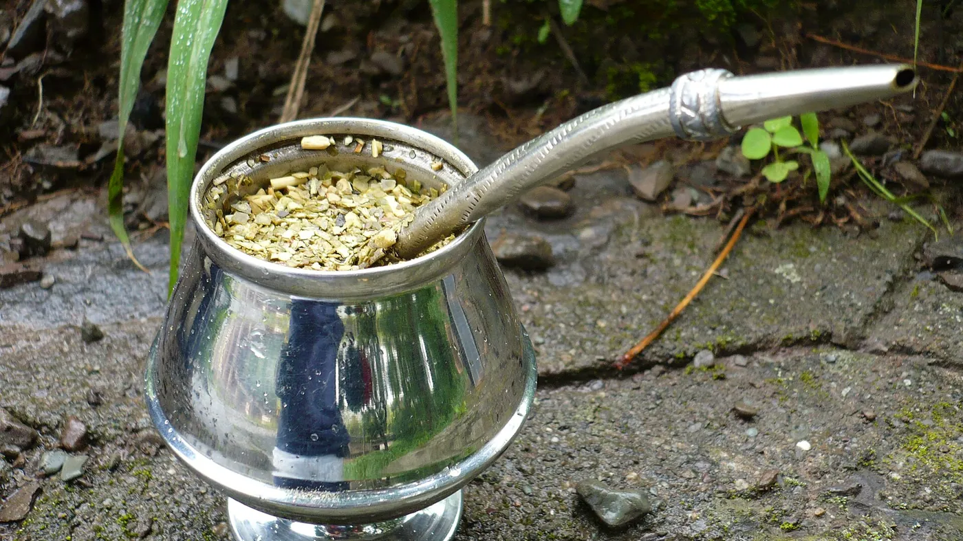 Cuia de porongo ou cuia térmica de inox: qual escolher?